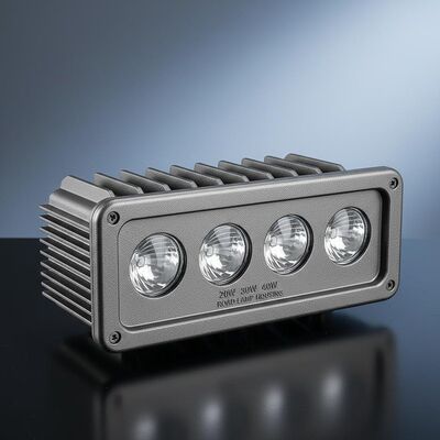 Individuell angepasste industrielle Druckgussgehäuse für 20W, 30W, 40W Straßenlaternen mit 4 Linsen.
